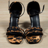 Alexi Wild Cat( ship After Eid)