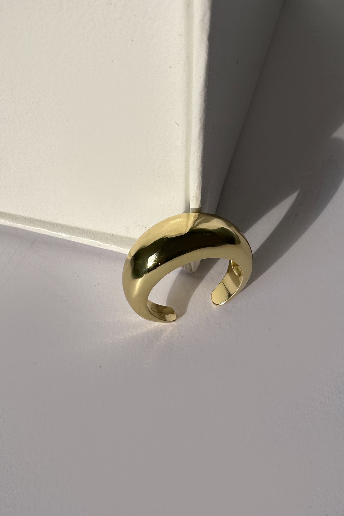 Sean Ring