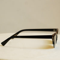 Wildcat Sunglasses Black