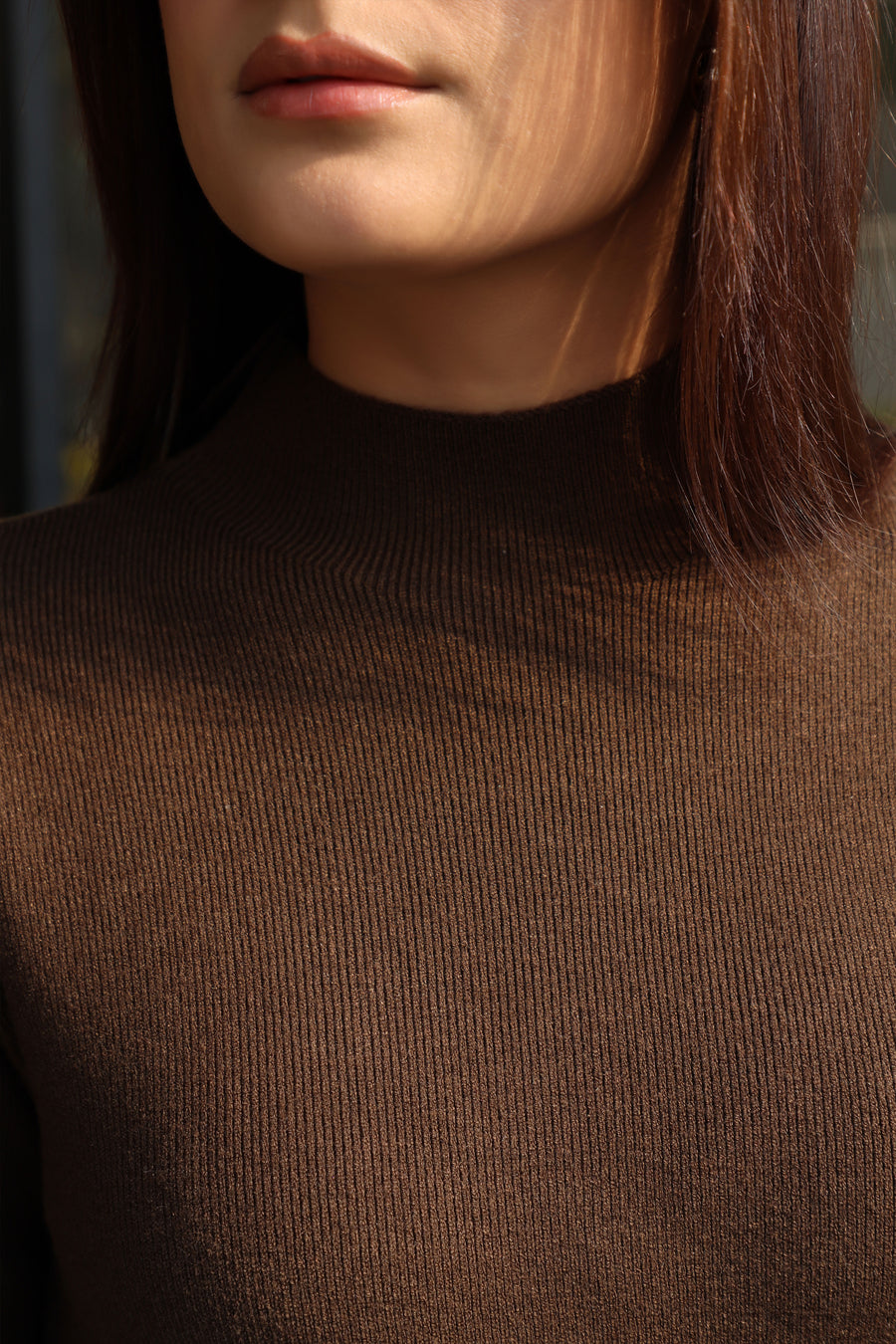 Frosted Mist Sweater Dress Brown