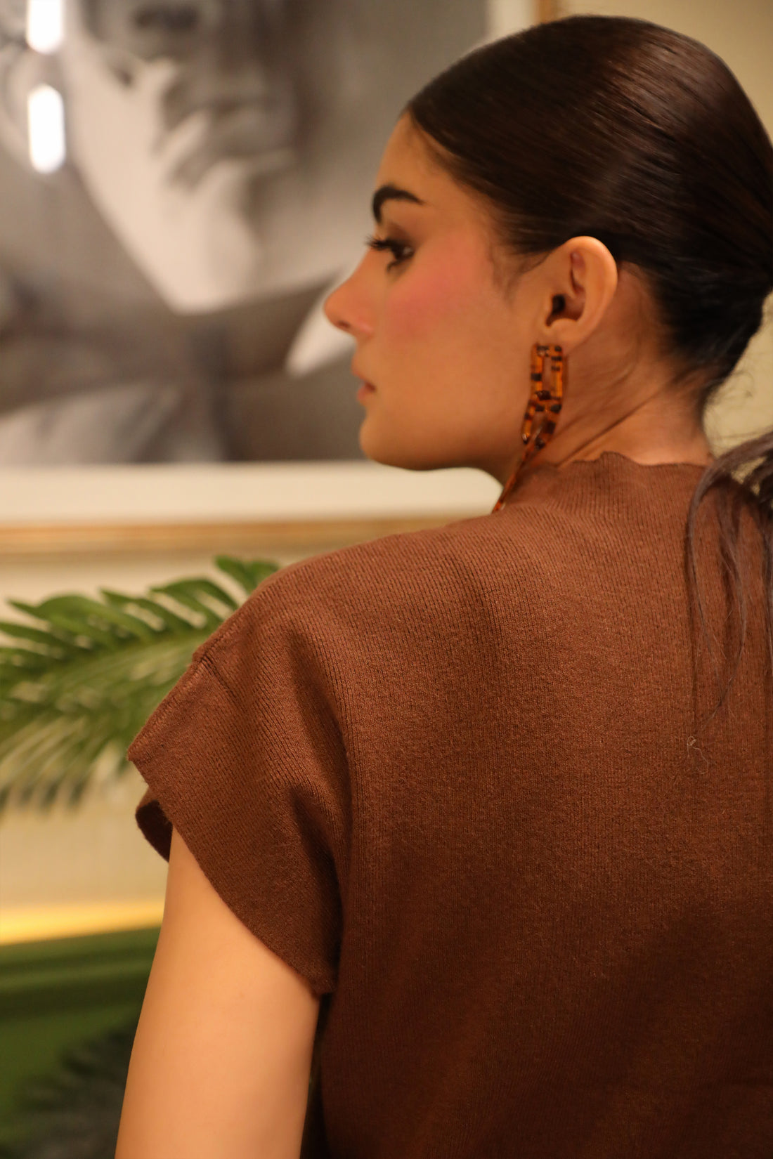 Willow Sweater Top Brown