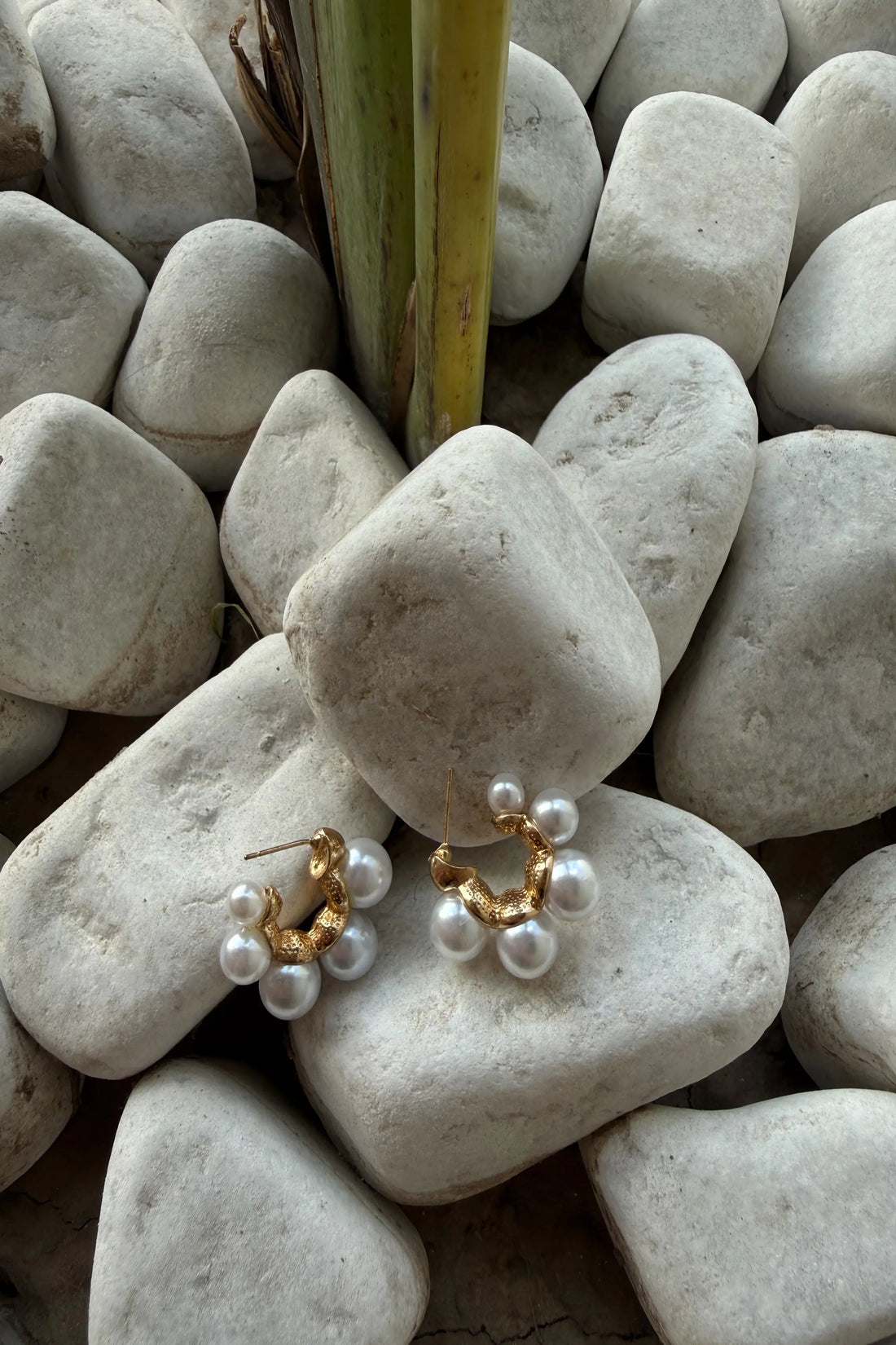 Aurora Pearls