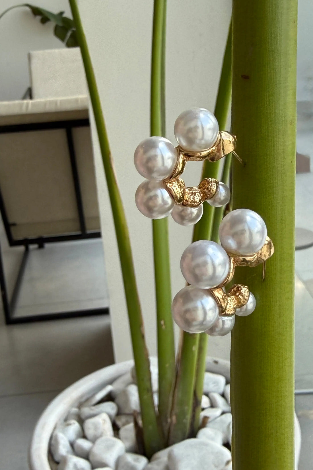 Aurora Pearls