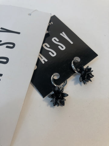 Mini Mettalic Clusters